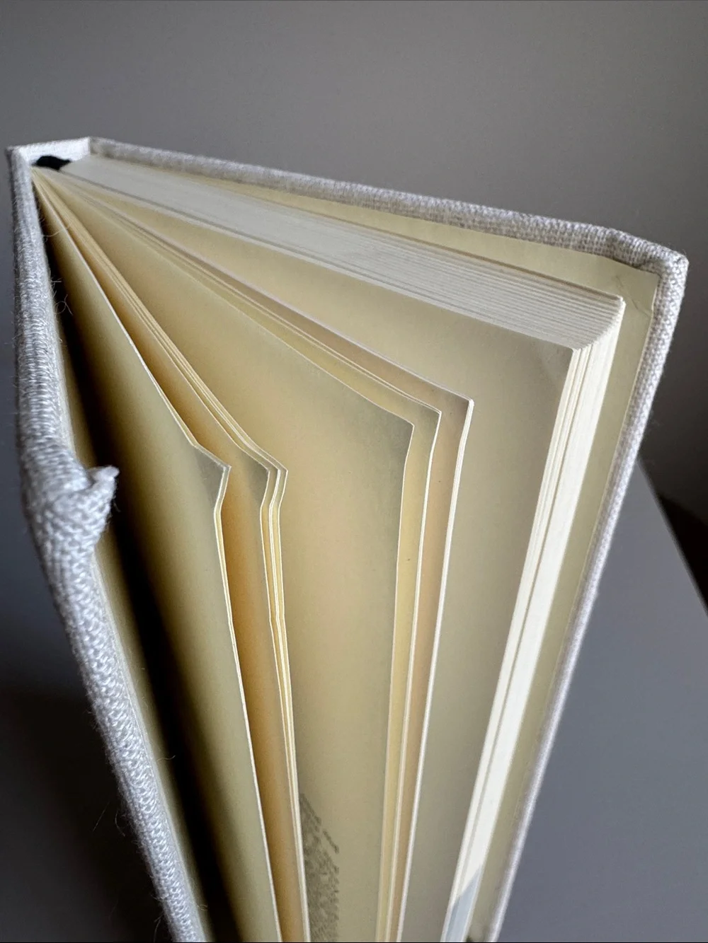 Intelligent Change FIVE MINUTE JOURNAL Daily Gratitude Reflection Hardcover